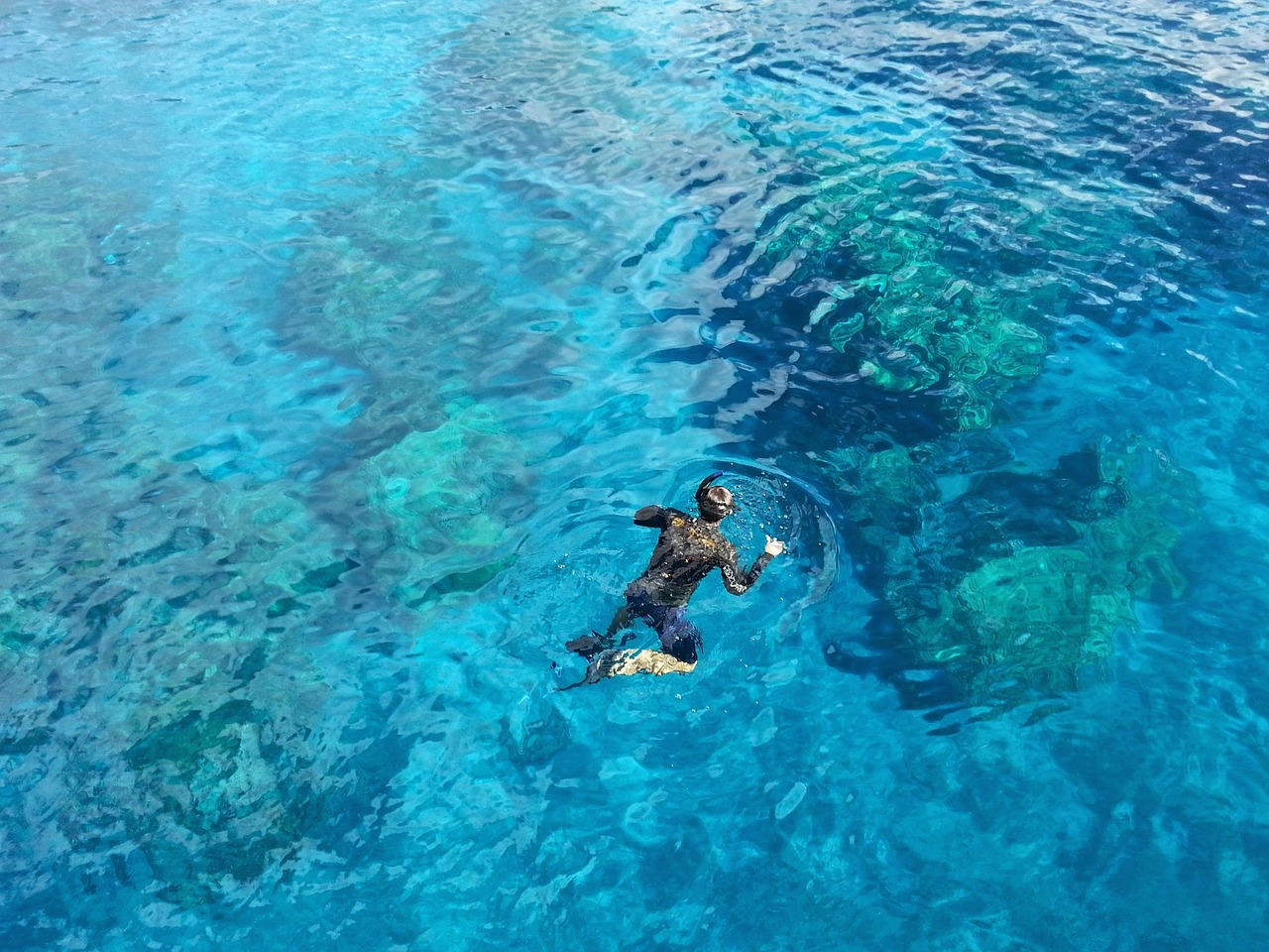 snorkeling, water, ocean, vacation, swimming, nature, turquoise, adventure, reef, outdoor, blue